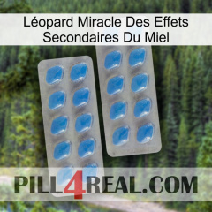 Léopard Miracle Des Effets Secondaires Du Miel 23